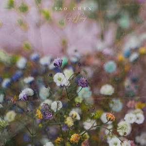 小樱被扒开腿狂❌网站
